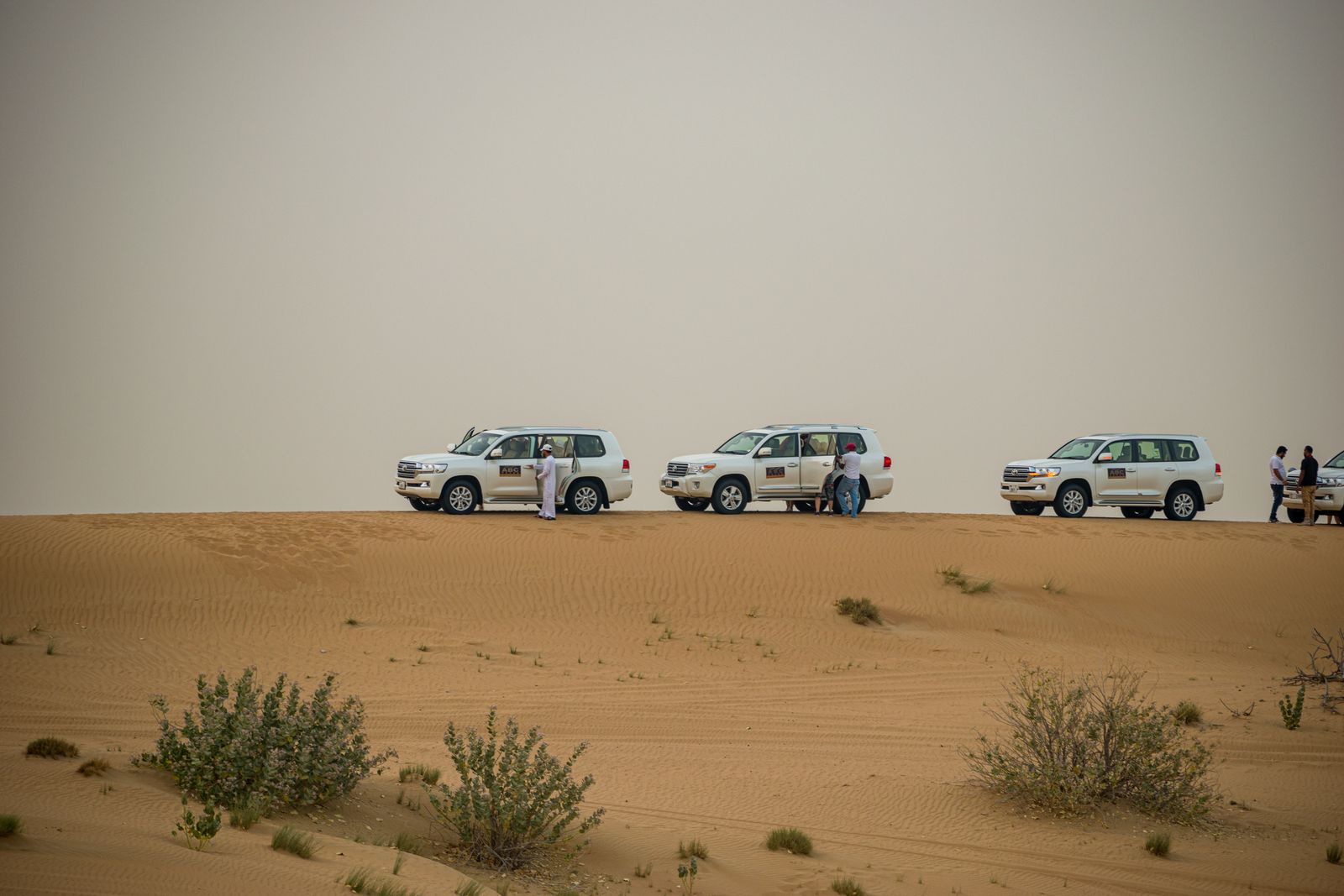 Safari convoy