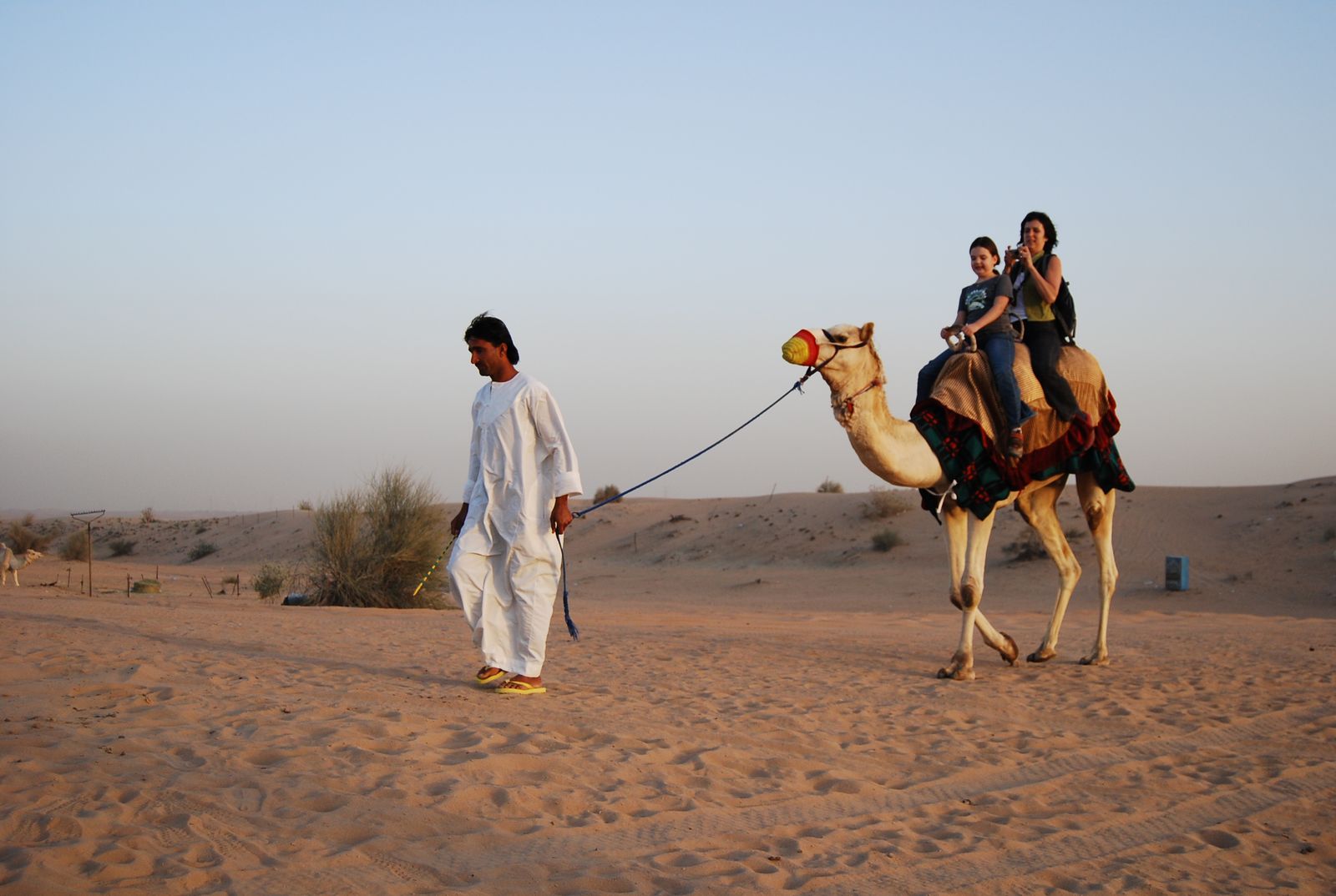 Camel trek at sunset