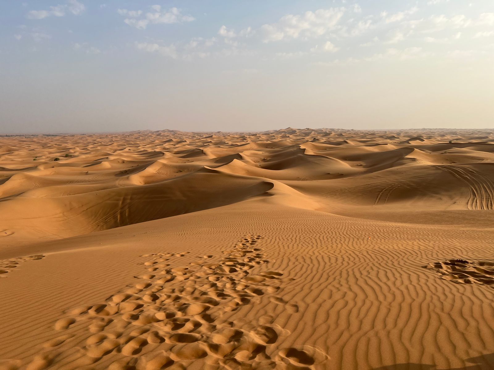Morning Desert Safari