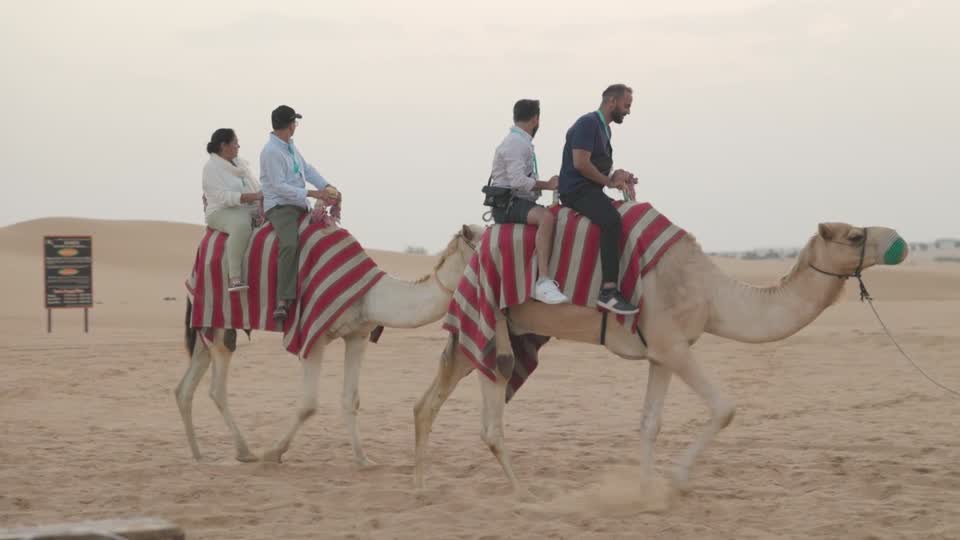 Camel ride